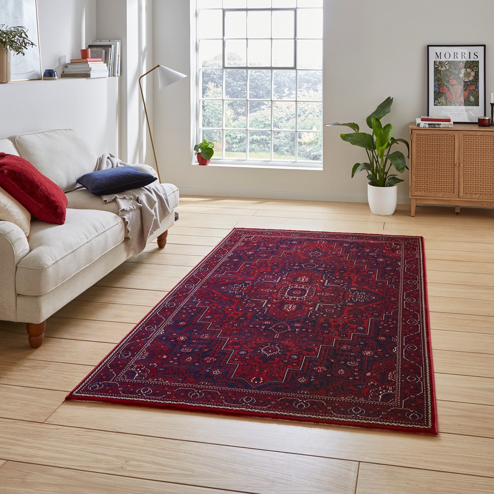 Dubai 62101 Traditional Medallion Border Rugs in Red